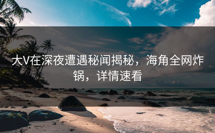 大V在深夜遭遇秘闻揭秘，海角全网炸锅，详情速看