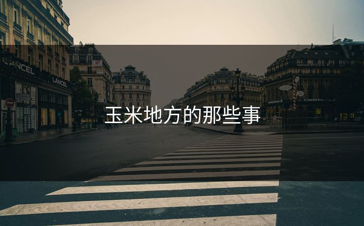 玉米地方的那些事