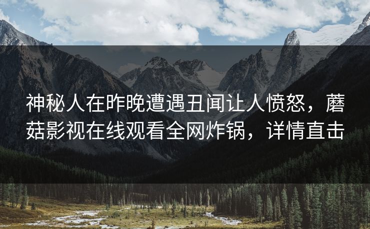 神秘人在昨晚遭遇丑闻让人愤怒，蘑菇影视在线观看全网炸锅，详情直击