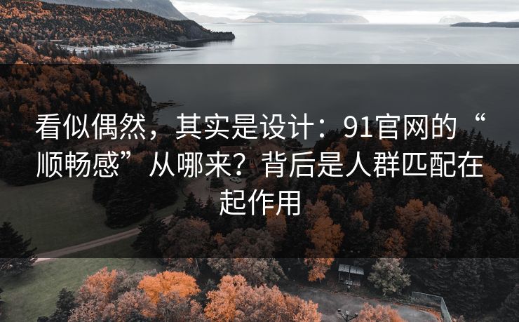 看似偶然，其实是设计：91官网的“顺畅感”从哪来？背后是人群匹配在起作用
