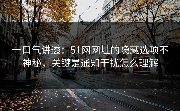 一口气讲透：51网网址的隐藏选项不神秘，关键是通知干扰怎么理解